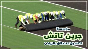 ملاعب كرة القدم فى الرياض