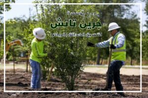 صيانة الحدائق المنزلية بالرياض