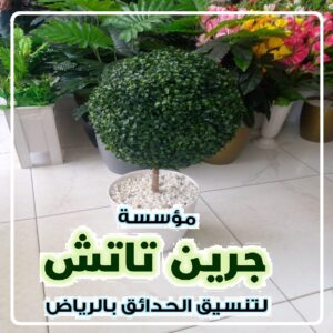 نباتات الزينة المنزلية بالرياض