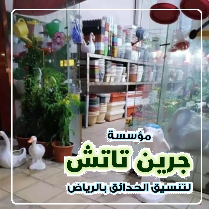 نباتات الزينة الداخلية بالرياض